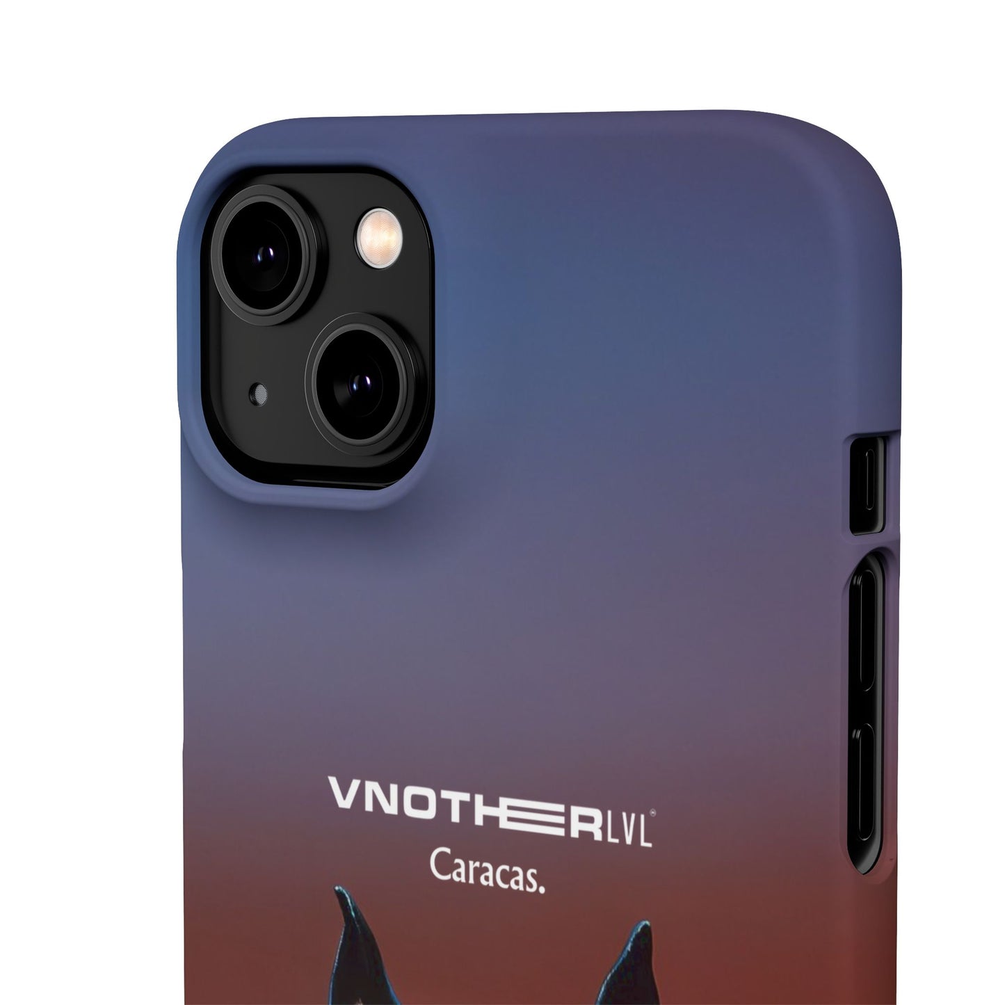 VNOTHERLVL Phone Case - Pitbull / Caracas