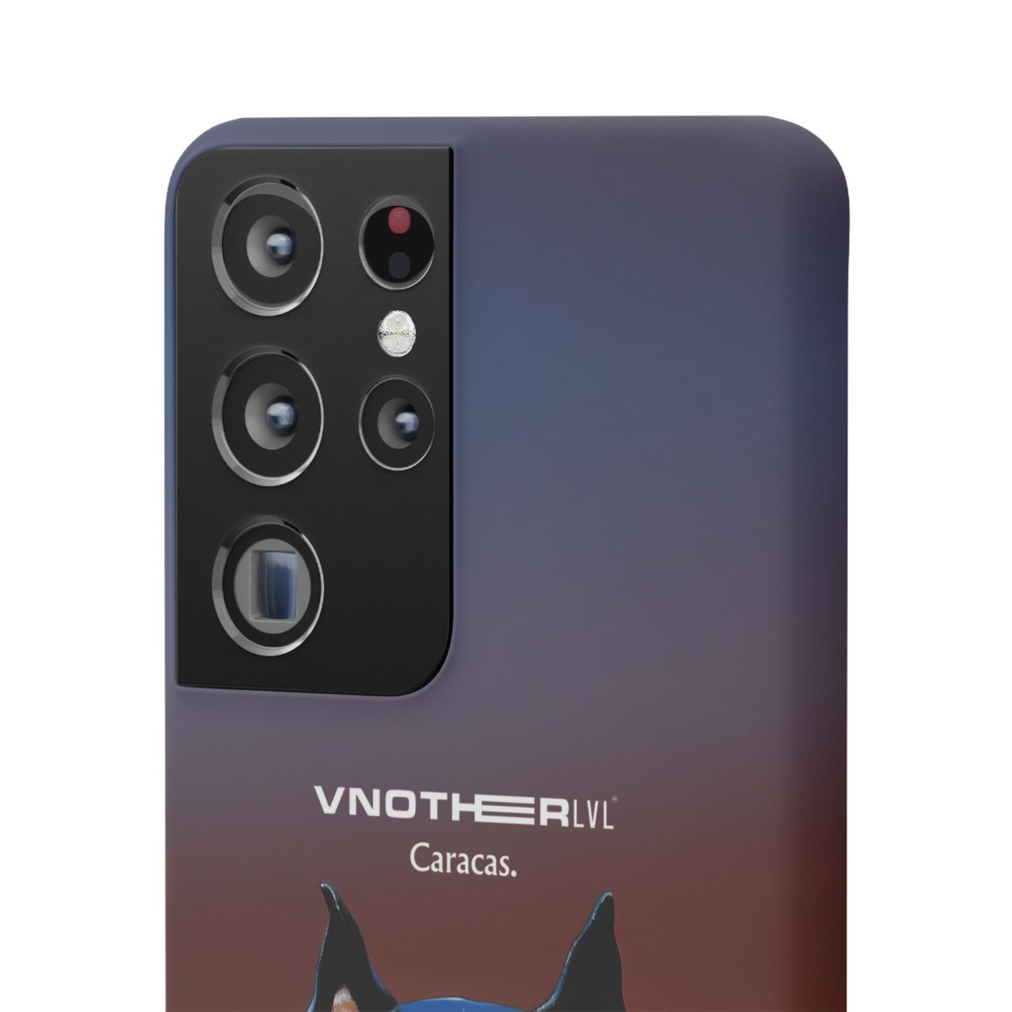 VNOTHERLVL Phone Case - Pitbull / Caracas