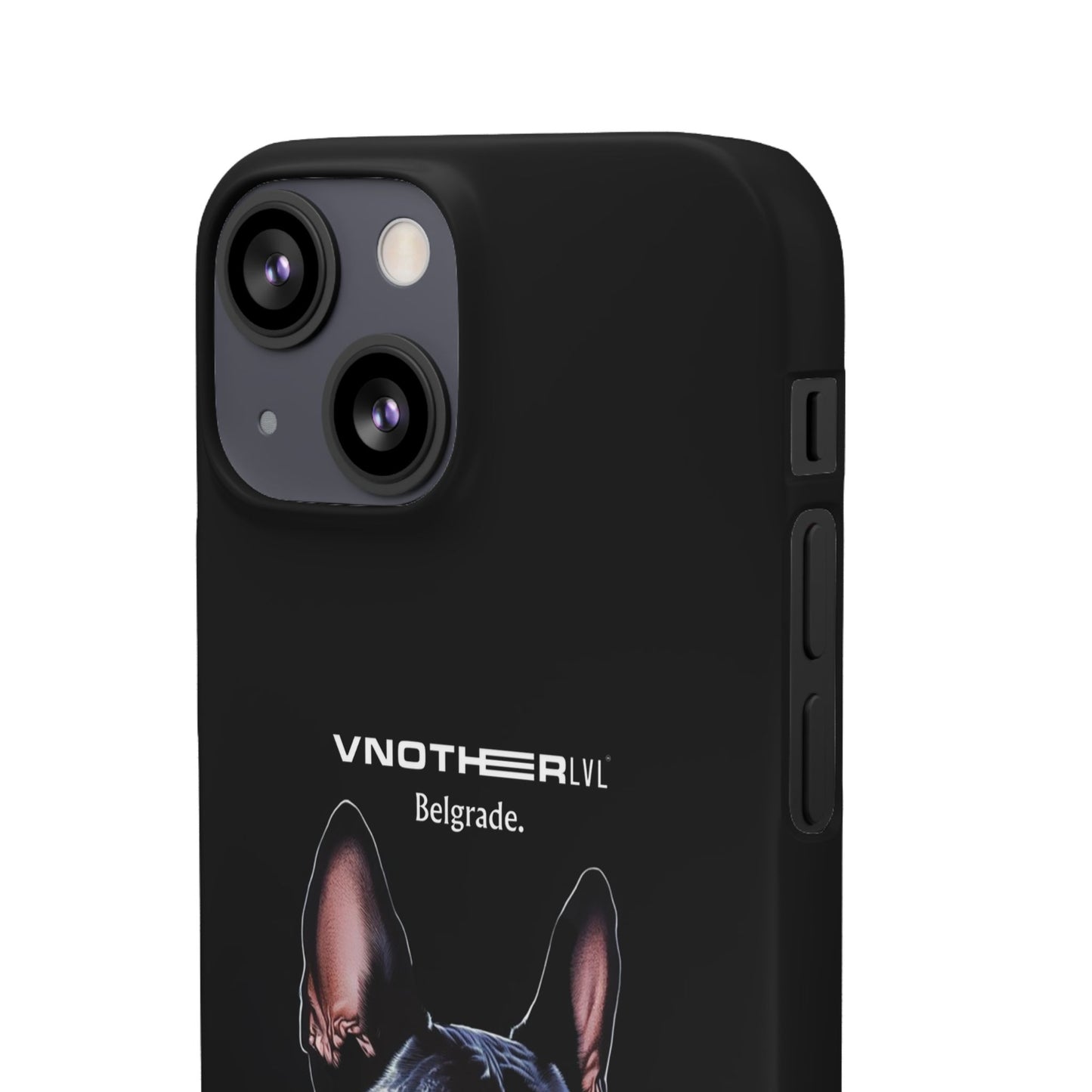 VNOTHERLVL Phone Case - Pitbull / Belgrade