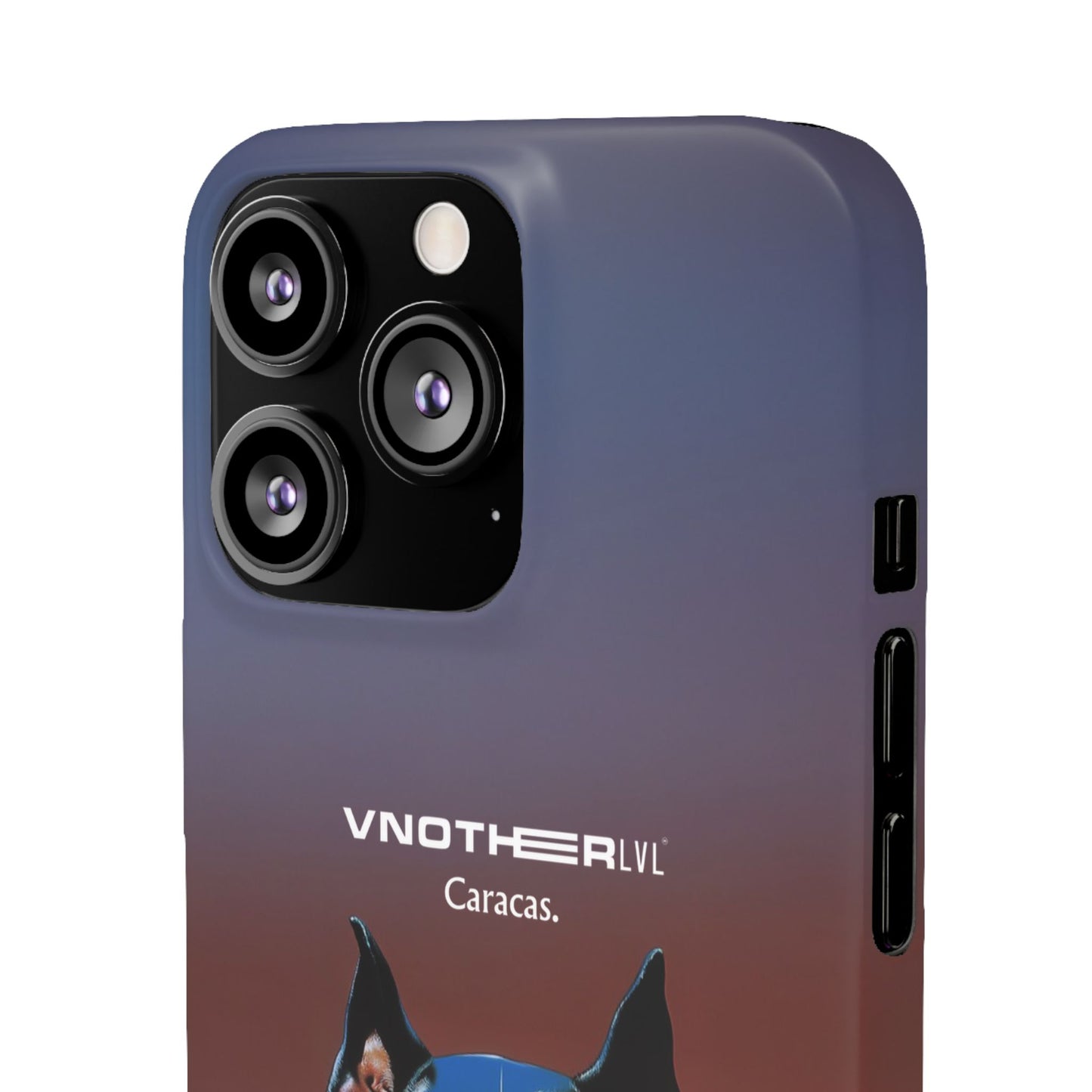 VNOTHERLVL Phone Case - Pitbull / Caracas