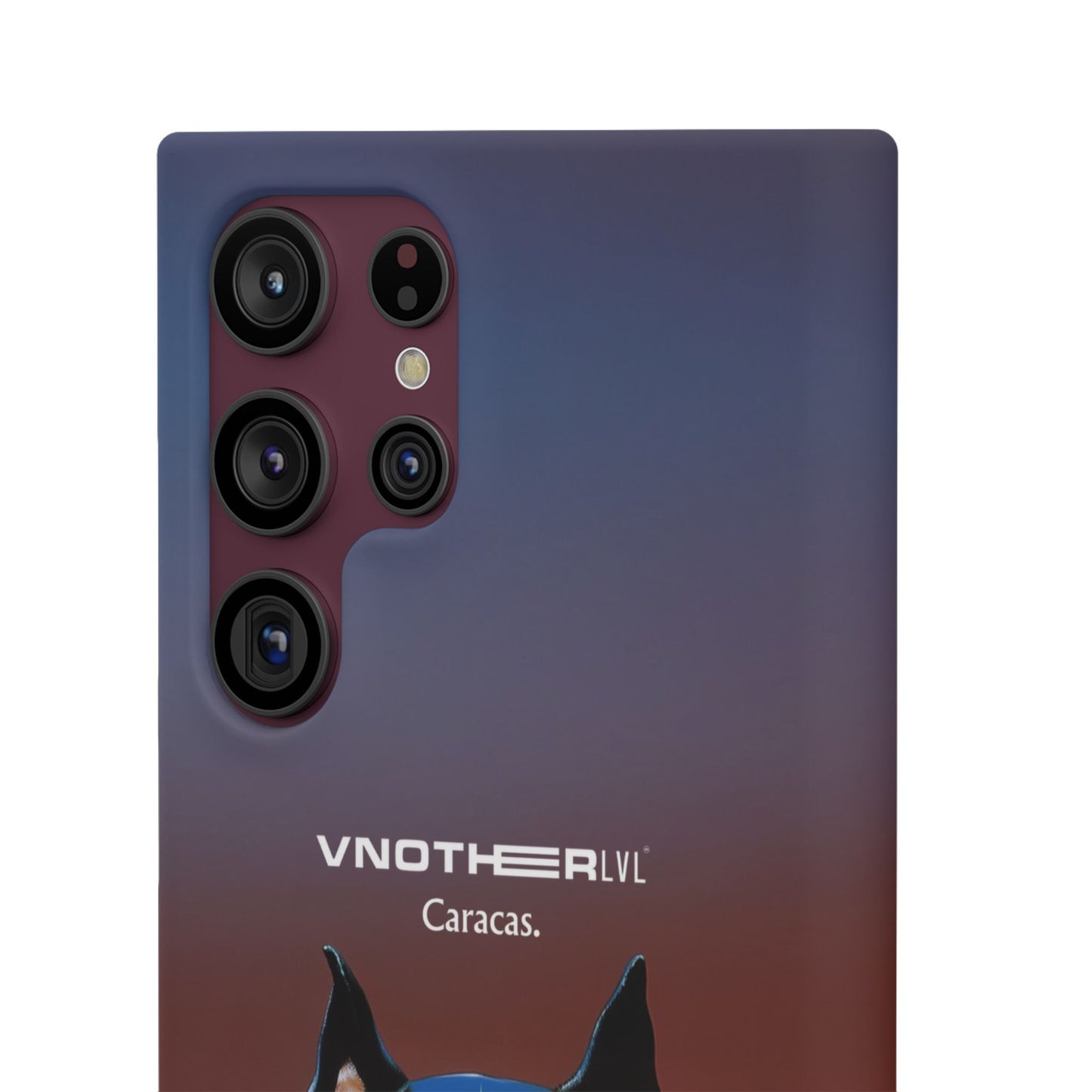 VNOTHERLVL Phone Case - Pitbull / Caracas