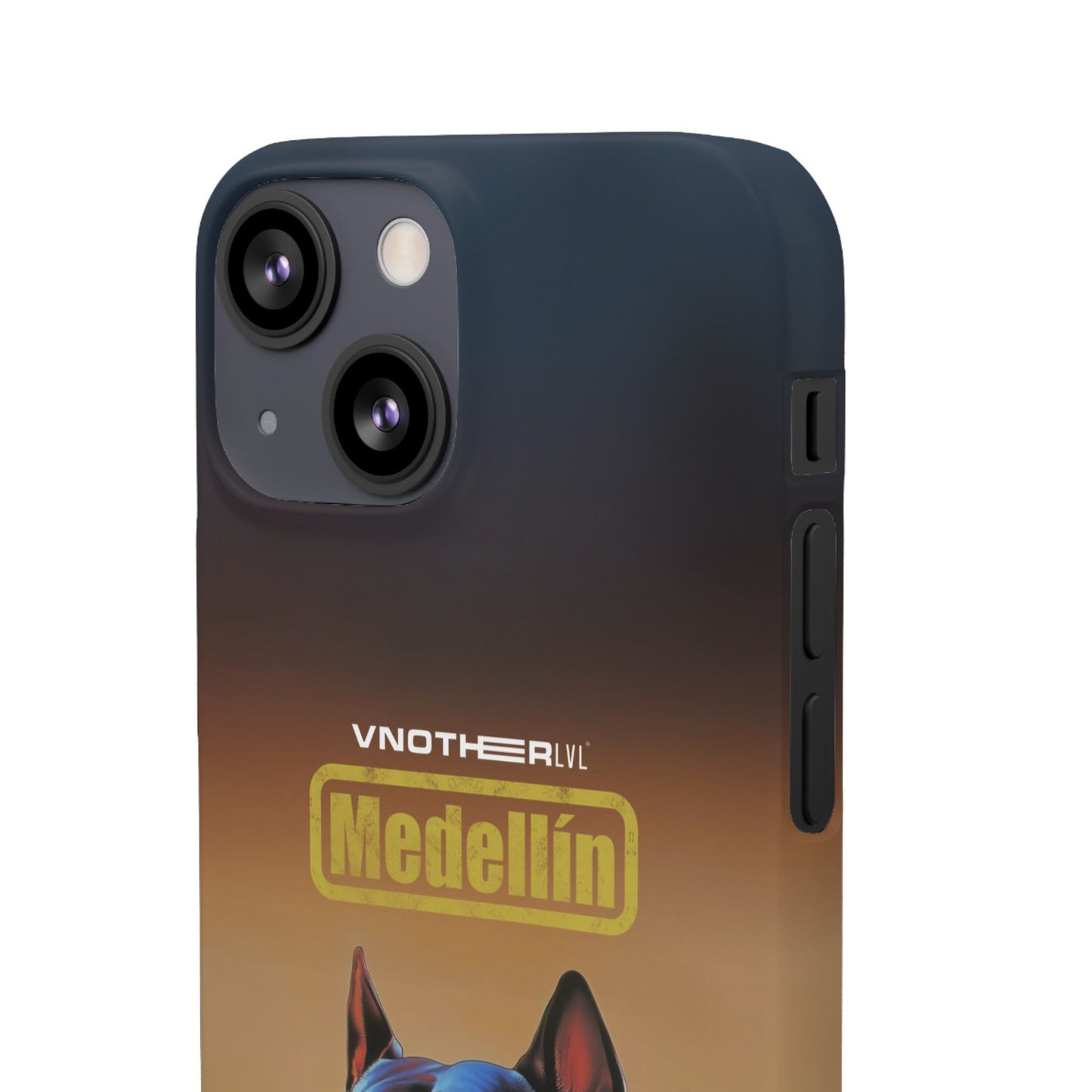 VNOTHERLVL Phone Case - Pitbull / Medellin