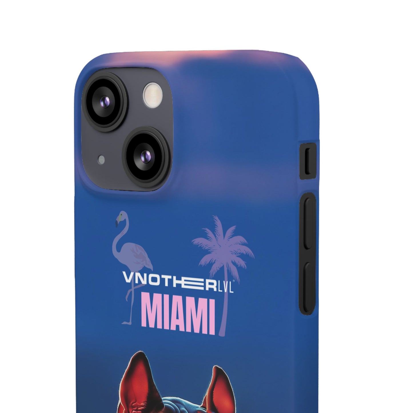 VNOTHERLVL Phone Case - Pitbull / Miami