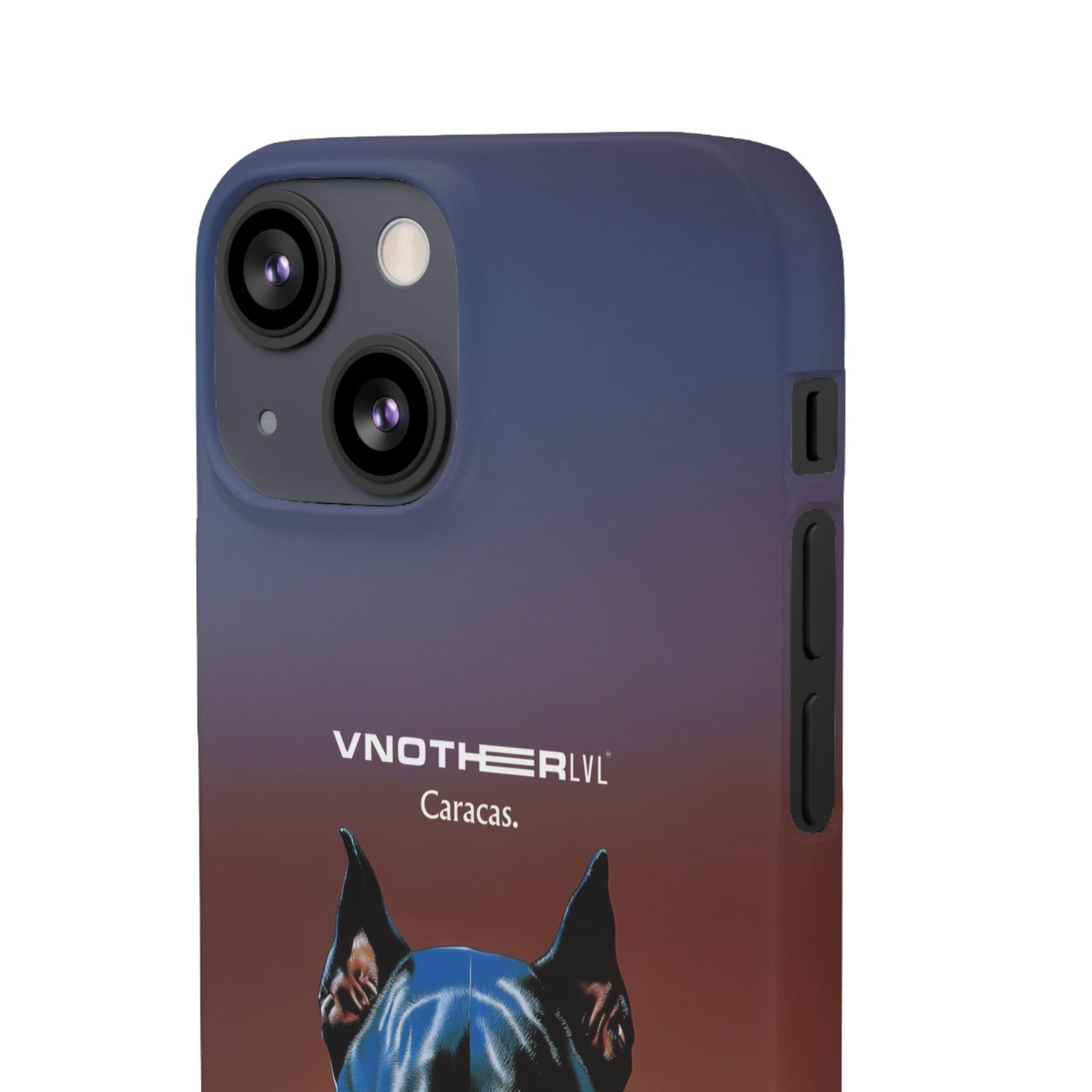 VNOTHERLVL Phone Case - Pitbull / Caracas