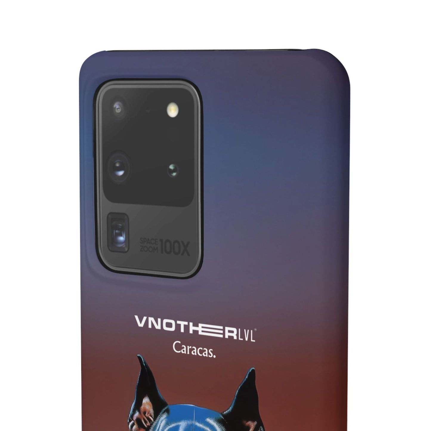 VNOTHERLVL Phone Case - Pitbull / Caracas