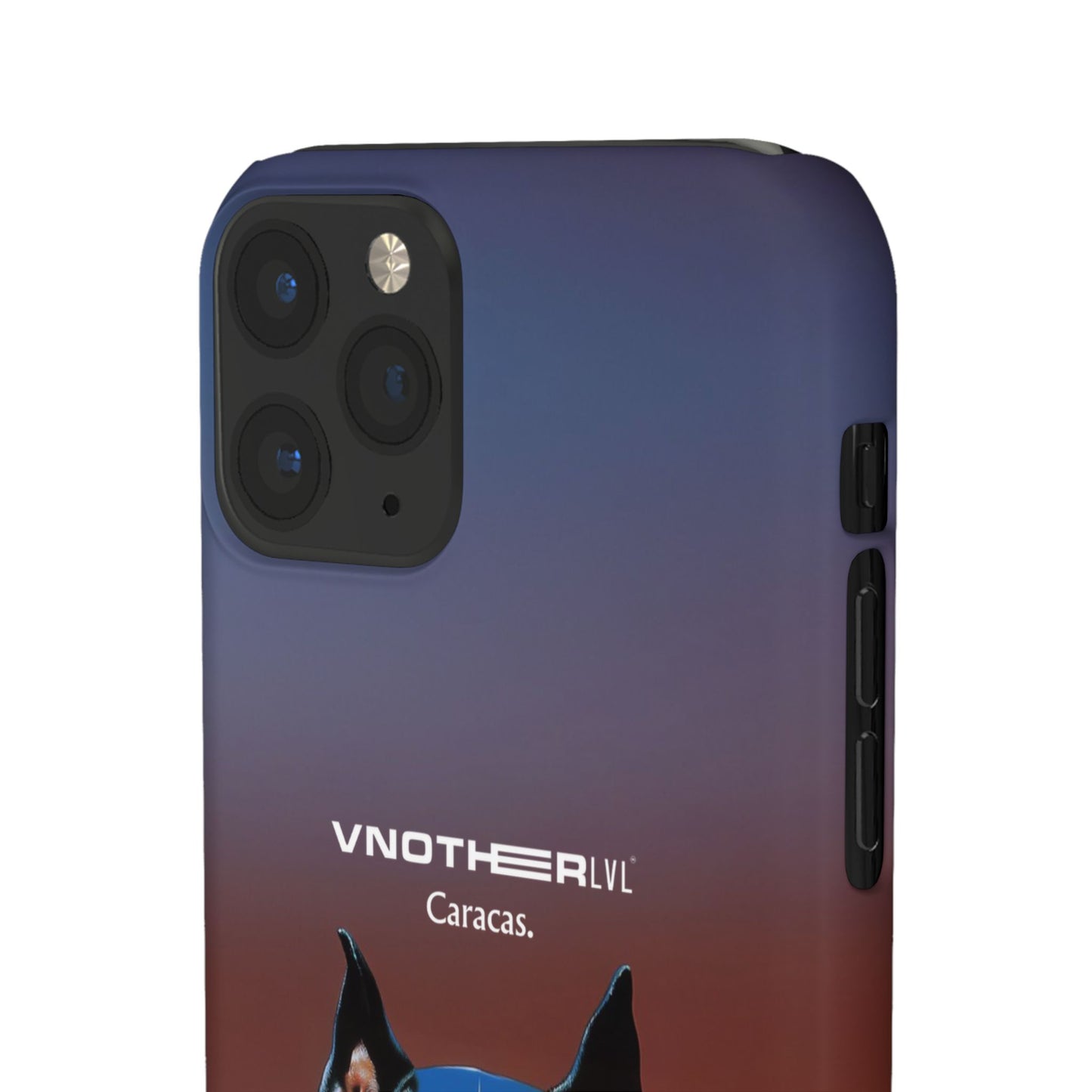 VNOTHERLVL Phone Case - Pitbull / Caracas