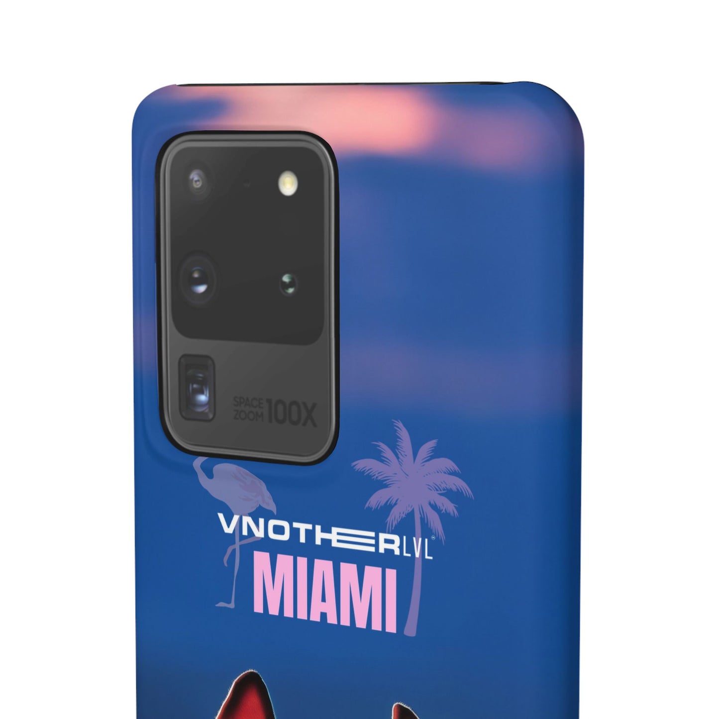 VNOTHERLVL Phone Case - Pitbull / Miami